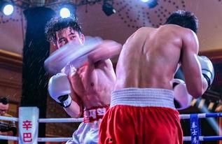 吃瓜娱乐拳击视频大全